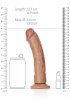 Curved Realistic Dildo with Suction Cup - 8/ 20,5 cm
